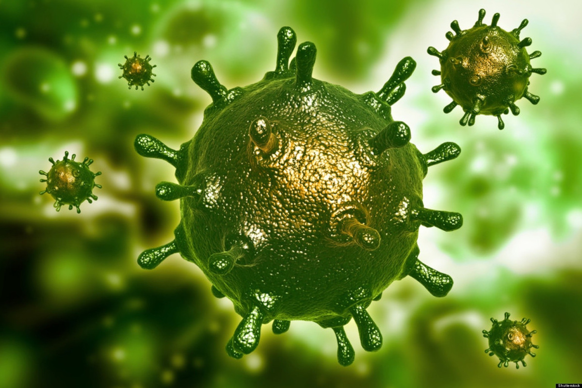PANDEMIC-MOTHER NATURE: START-UP PROJECTS GAINING POPULARITY DURING THE CRISIS